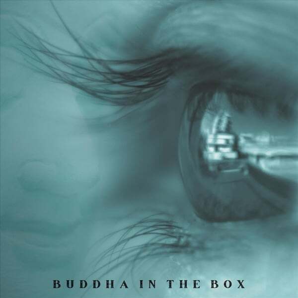 Cover art for Buddha in the Box